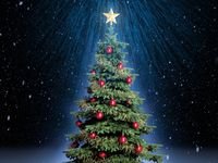 pic for Classic Christmas Tree With Star On Top 
